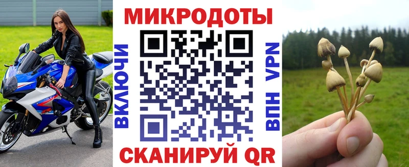 Купить закладки  Богданович  Псилоцибиновые грибы мицелий 