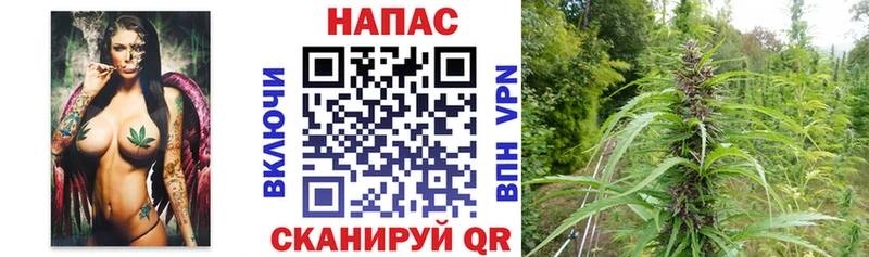 Бошки марихуана сатива  Купить где  Богданович 